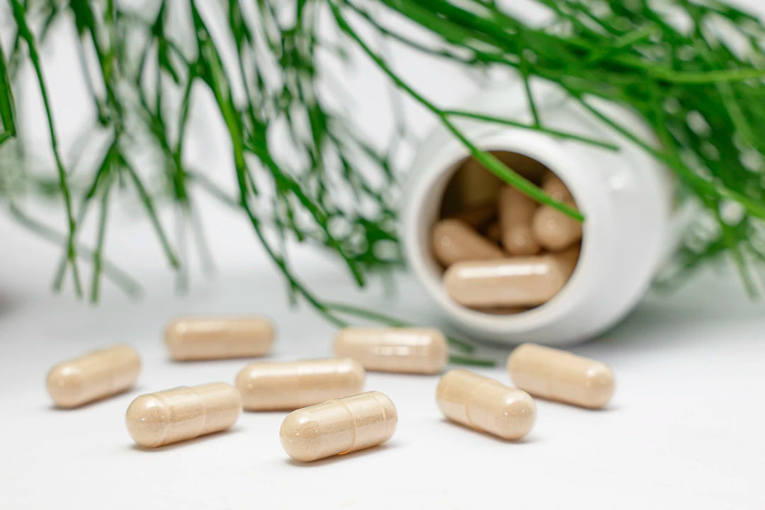 Natürliche vs. Synthetische Supplements Das große Duell