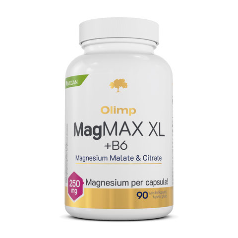 Olimp MagMAX XL B6 - 90 Kapseln