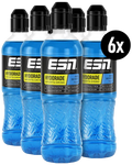 ESN Hydorade Sports Drink, 6 x 500 ml Flasche